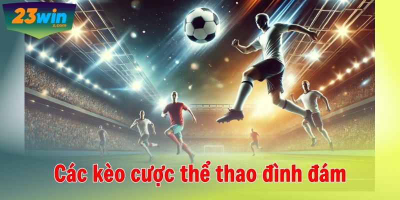 thể thao 23WIN